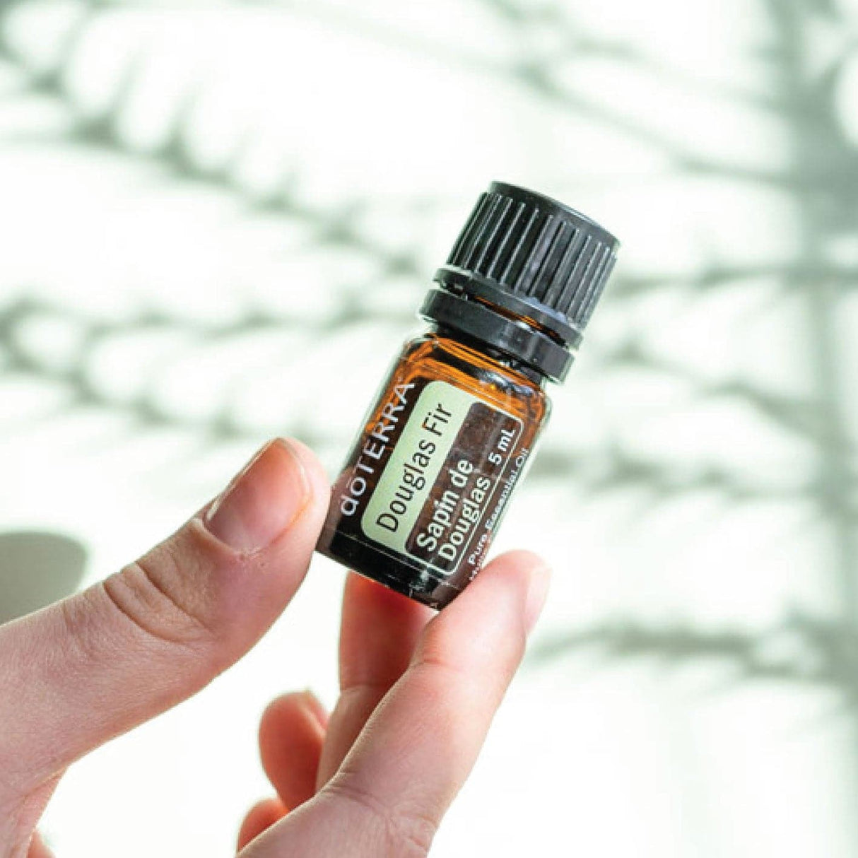 dōTERRA Douglas Fir Oil - 5ml - Green Shop Online