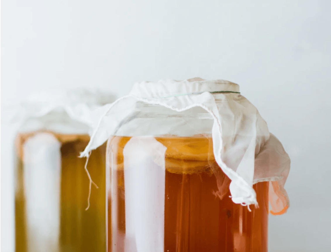 Learn about Kombucha Tea !