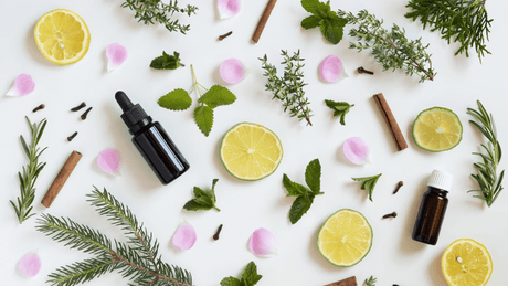 Doterra Essential Oils - A Natural Path to Wellness