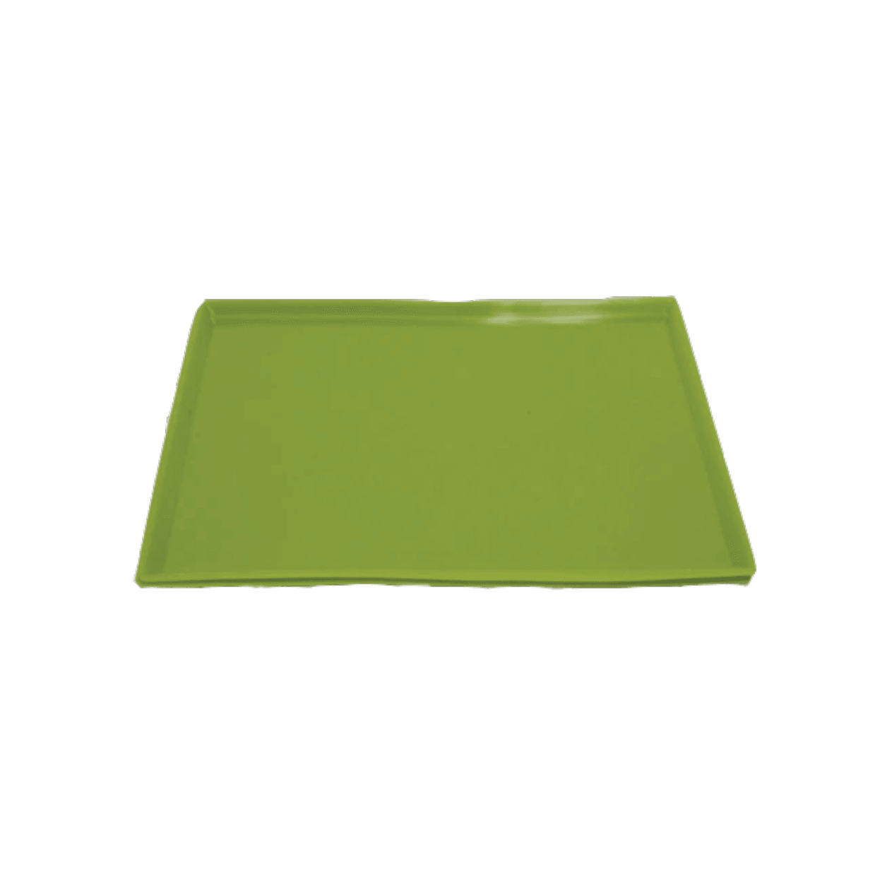 Silicone Tray