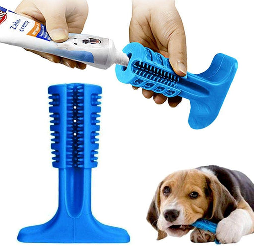 Pet Toothbrush - Molar Rod