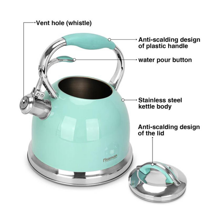 Whistling Tea Kettle Felicity Series 2.6L - Aquamarine