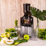 Evolution Cold Press Juicer EVO820 By Kuvings - Green Shop Online