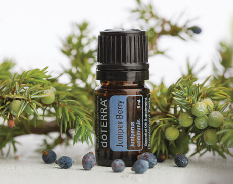 dōTERRA Juniper Berry Oil - 5ml - Green Shop Online