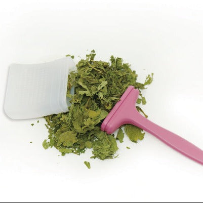 Silicone Tea Strainer - Paint Brush shape - Green Shop Online