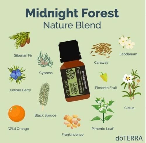 dōTERRA Midnight Forest Nature Blend - 15ml
