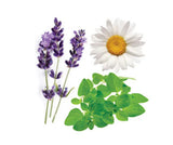 dōTERRA Lavender Peace - 15ml - Green Shop Online