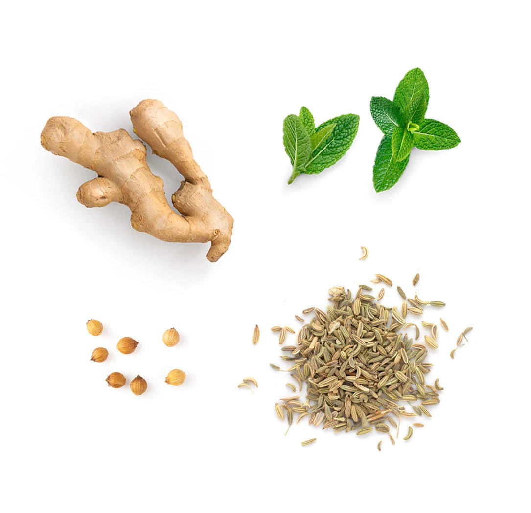 dōTERRA ZenGest Touch - 10mL - Green Shop Online