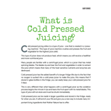 Juice Chef by Gary Dowse - Green Shop Online
