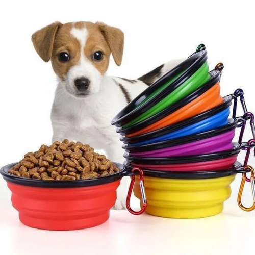 Pet Foldable & Portable Travel Bowl - 350ml - Green Shop Online