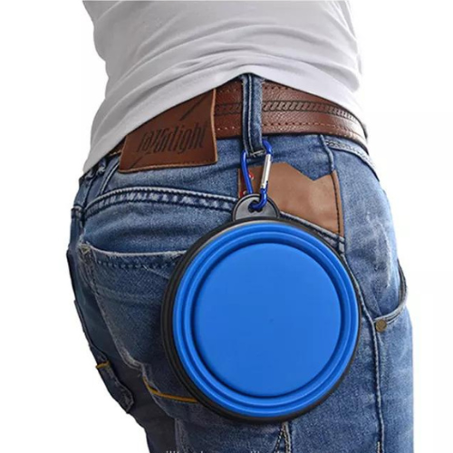 Pet Foldable & Portable Travel Bowl - 350ml - Green Shop Online