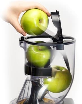 Commercial Cold Press Juicer – Chef CS600 - Green Shop Online