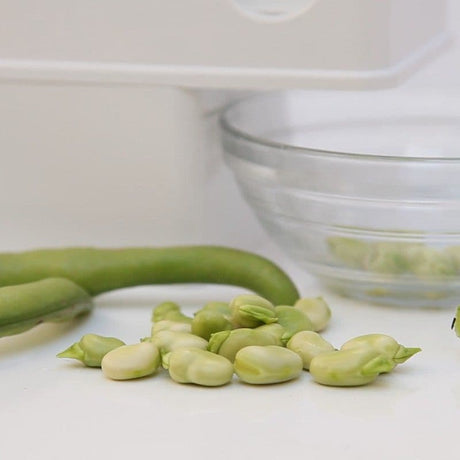 Robito Vaina Large Bean Peeler Electric Bean Peeler By Pelamatic - Green Shop Online